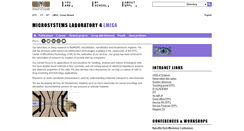 Desktop Screenshot of lmis4.epfl.ch