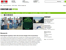 Tablet Screenshot of constam-lab.epfl.ch