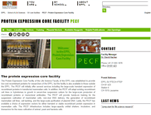 Tablet Screenshot of pecf.epfl.ch